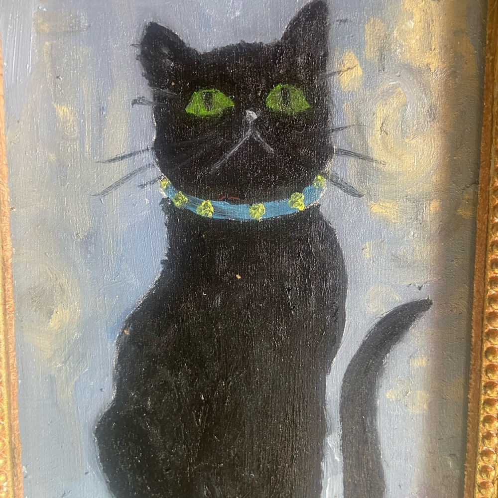 Black Cat Portrait with Blue Collar